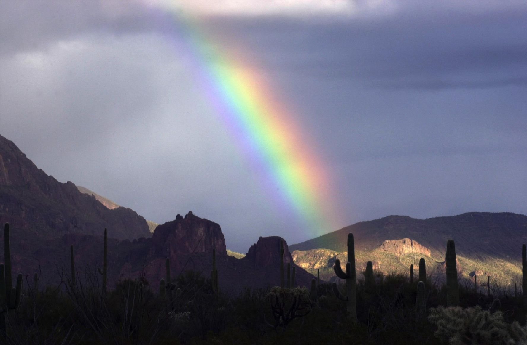 Organ Pipe National Monument